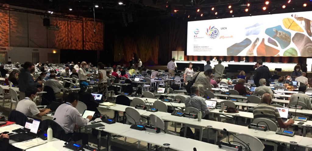 IUCN World Conservation Congress 2021 Highlights