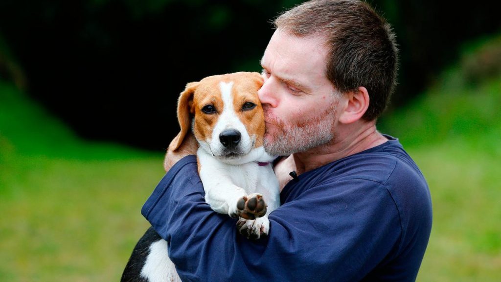 Beagle Freed From Lab Testing Won’t Leave Crate ‘Til He Heard A Baby Crying