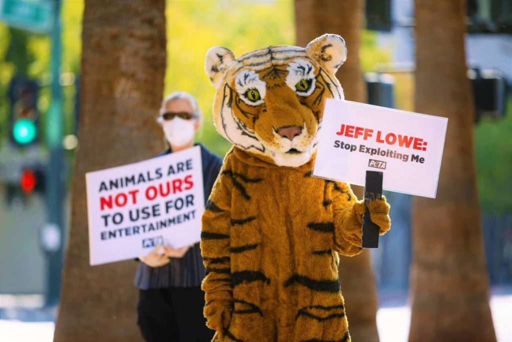 PETA Wins Lawsuit Against Notorious ‘Tiger King’ Villain Jeff Lowe