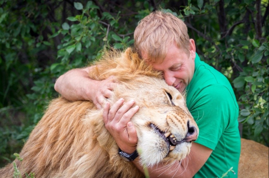 Keeping and Caring For Lion as a Pet