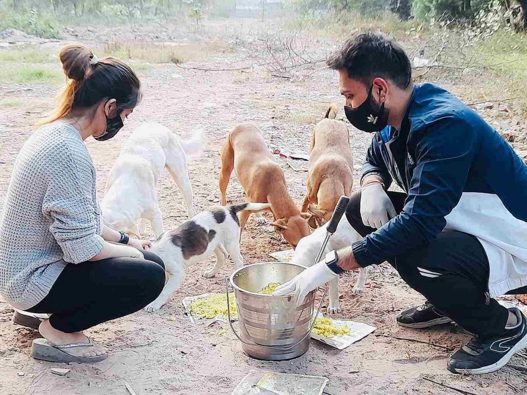 DU Students Use Savings to Start Community Kitchen for Dogs, Rescue Over 1000 Strays