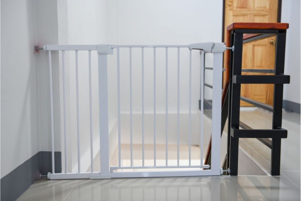 7 of the NEWEST and Best Dog Gates to [Try]