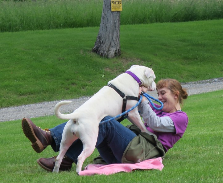 Simple Ideas that Will Make Shelter Dogs So Happy They’ll Shower You With Kisses