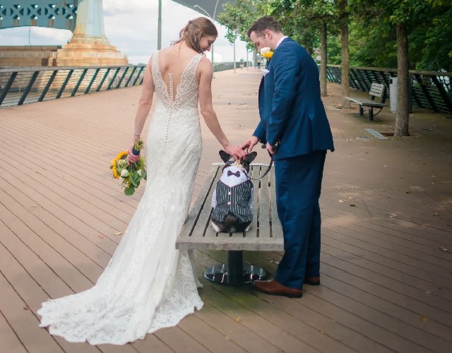 Survey Shows 1 in 3 Couples Are Including Their Dogs In Their Wedding