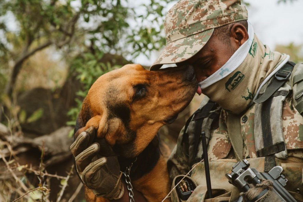 Making CONTACT: Paws and Boots Together on the Ground Fighting Poaching
