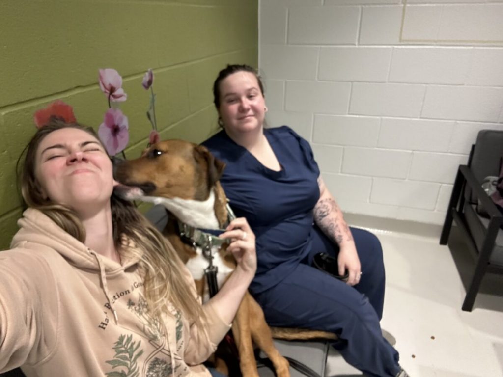 Inside the family living room at the Provincial Dog Rehabilitation Centre