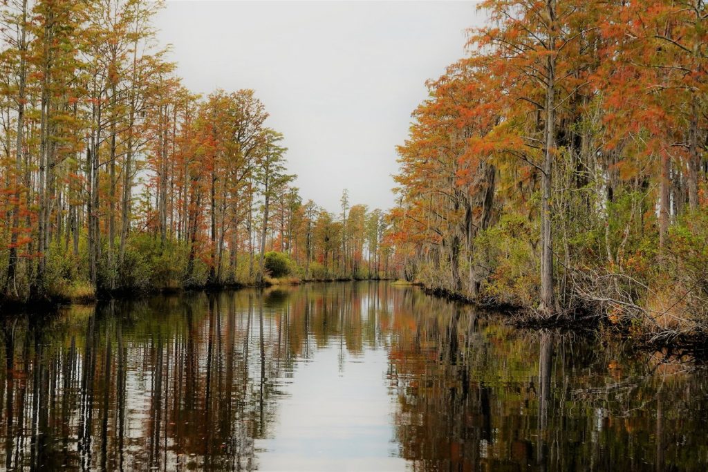 Autumn’s Arrival In National Wildlife Refuges: A Season of Natural Wonders