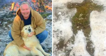 Golden Retriever Lay By ‘Unconscious’ Owner For 20 Hours Saving His Life
