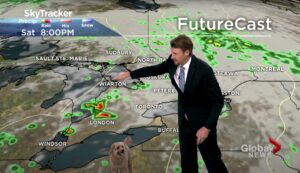 Meteorologist’s Dog Interrupts Weathercast In Search Of Treats