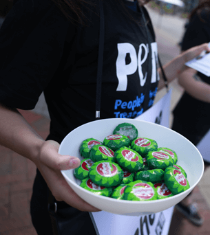 First-Ever Female Sisyphus to Conquer Cheese Challenge on World Vegan Day