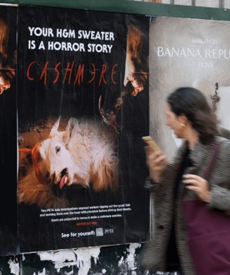 ‘Your H&M Sweater Is a Horror Story’: Slasher Film–Inspired Art Exposes Cruelty of Cashmere