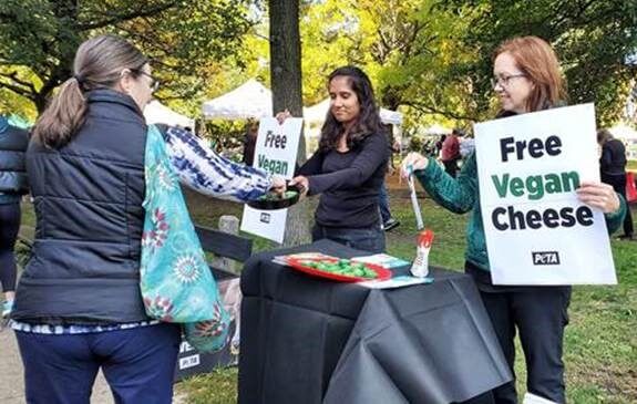 Say ‘Vegan Cheese!’: PETA to Crash Mac and Cheese Fest With Cruelty-Free Flavor