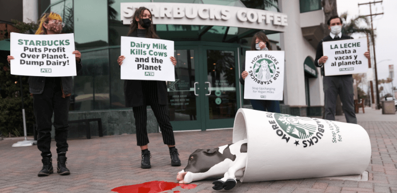 Will Starbucks’ 2023 Climate Report Reflect the Company’s Unsustainable Practices?