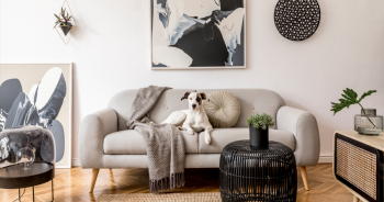 11 Best Dog-Themed Wall Art