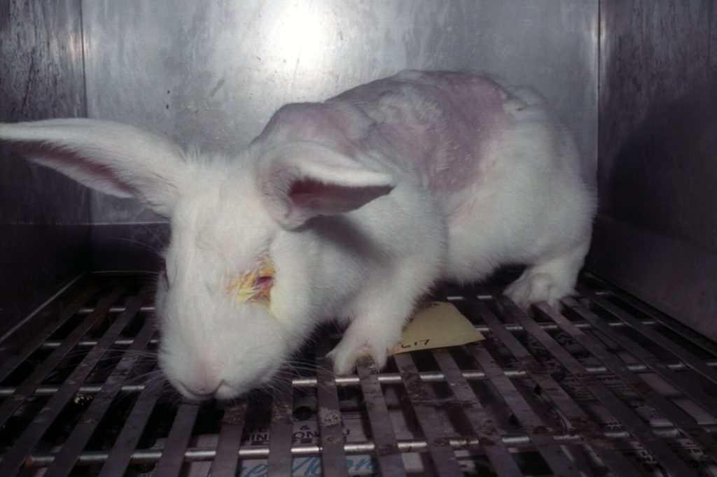 PETA Scientists’ New Paper Offers Methods to Test Pesticides Without Using Live Animals