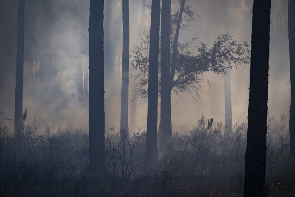 Igniting Change: A Visual Journey Into The USFWS Fire Program