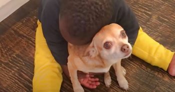 Boy Promises To Carry His Aging Dog Who Takes Care Of Him While He’s Sick
