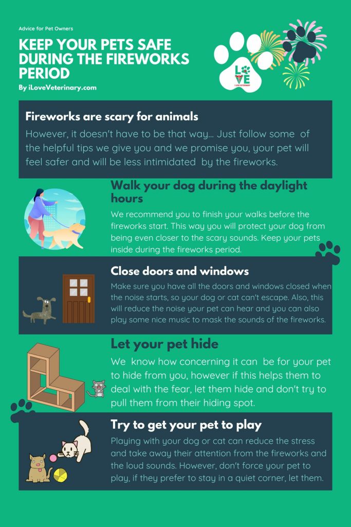 Keep your Pets safe during the fireworks period