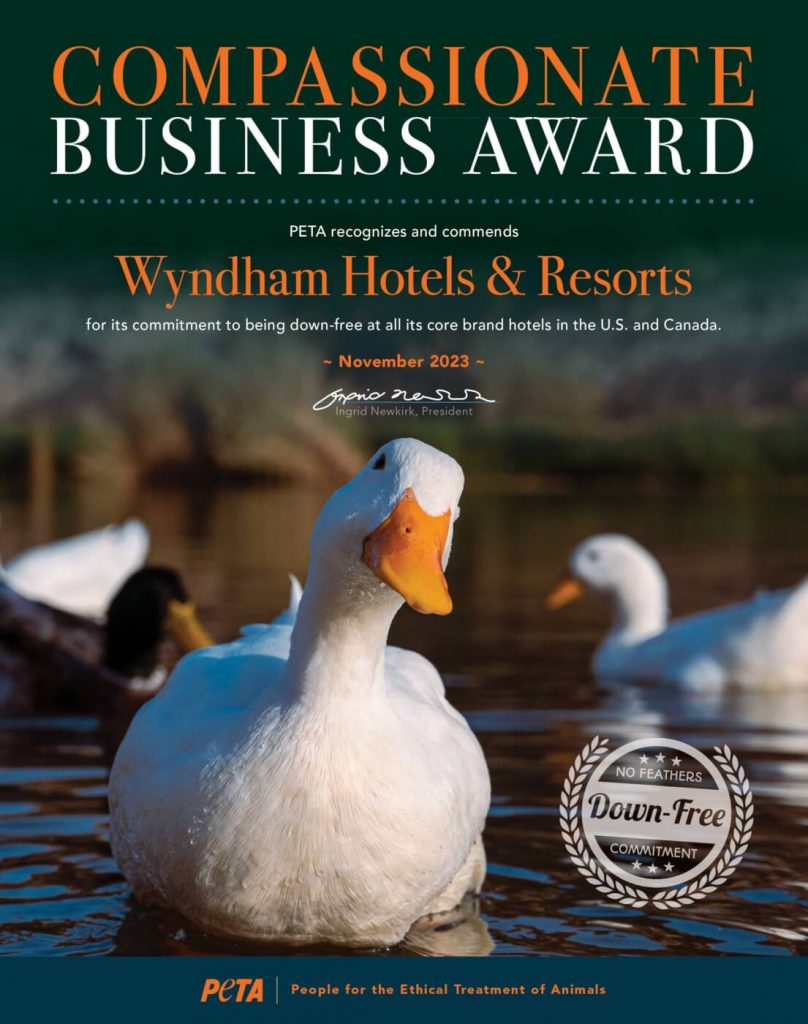 Compassion Is Inn: Wyndham Hotels & Resorts Wins National Award From PETA for Saying No to Down