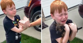 Boy Saved Up To Buy Puppy And Grandma Asks Him To Close His Eyes & Stretch His Arms