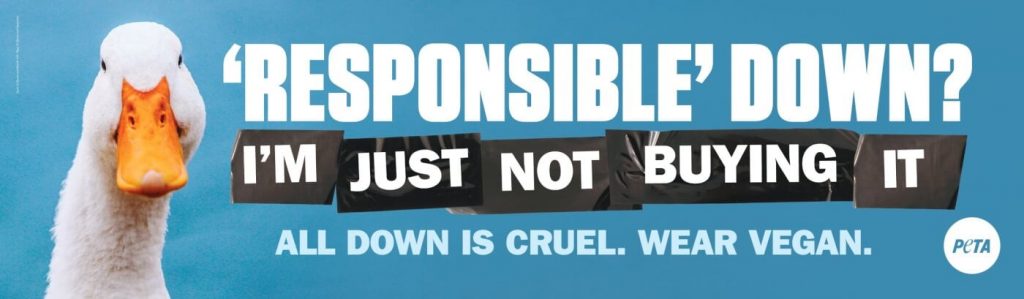 ‘Responsible Down’ Label Humane-Washes Cruelty, Says PETA in Competition Bureau Complaint