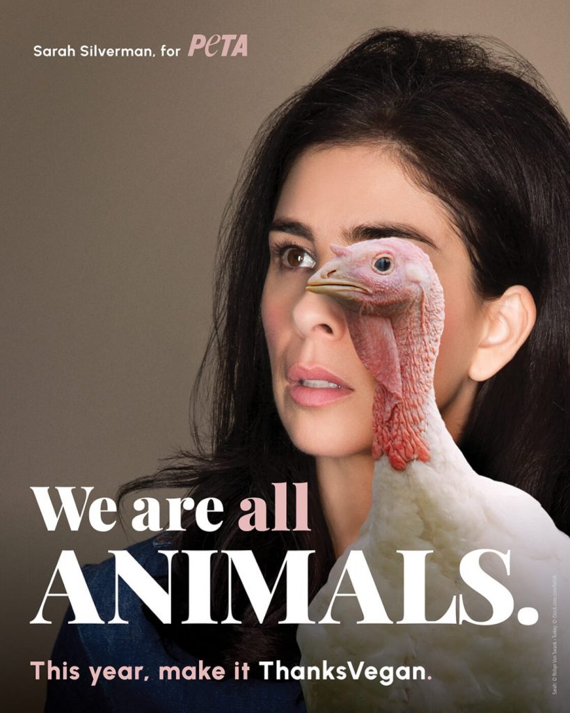 Beyond Tradition: Sarah Silverman Urges People to Reimagine Thanksgiving