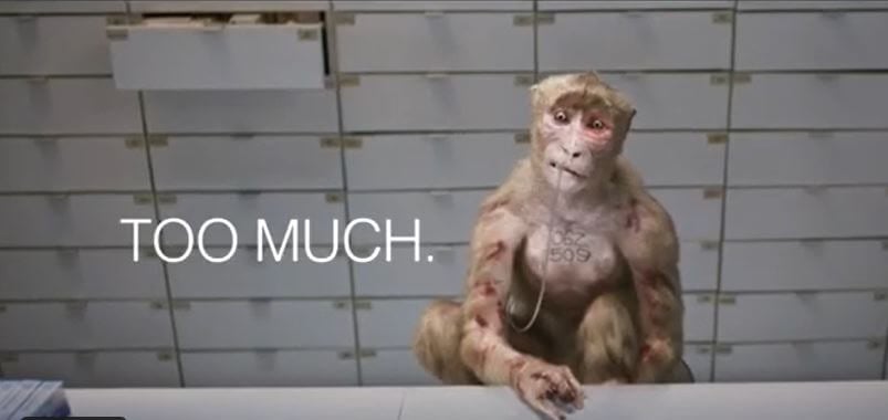 ‘Too Much!’: New PETA CGI Ad Aimed at UW-Madison Primate Center to Air Locally