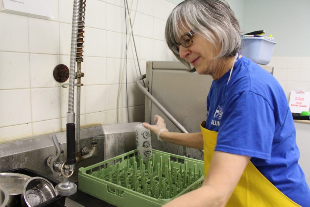 Volunteers have been at the heart of the Ontario SPCA for 150 years