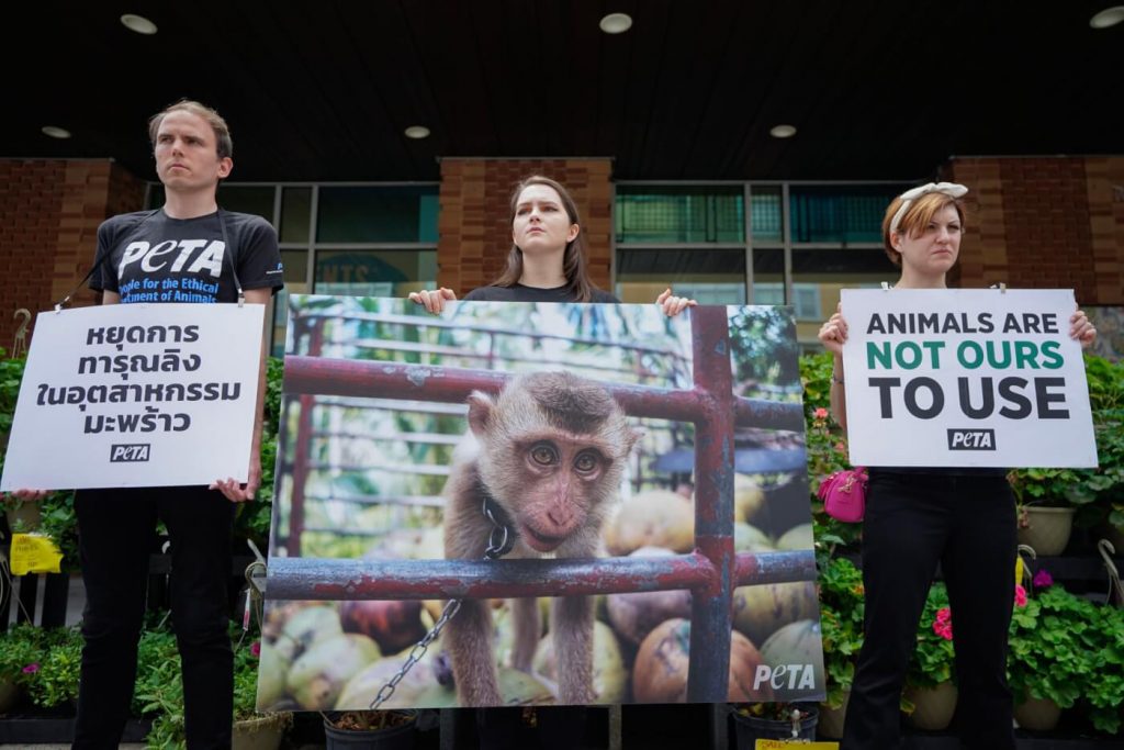 Giant ‘Monkey’ Hijacks Whole Foods Grand Opening Over Thai Coconut Industry Abuse