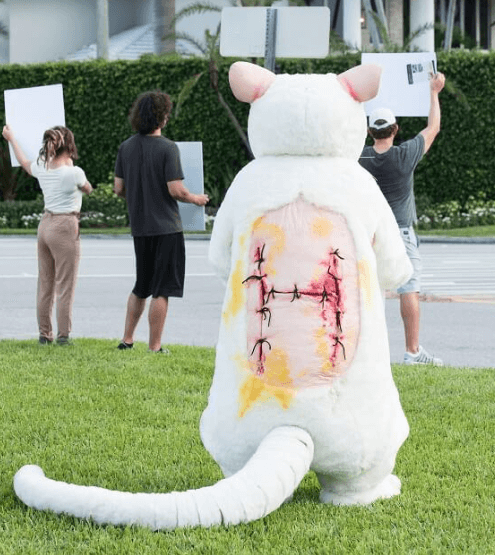 Giant ‘Wounded Mouse’ to Blast Ajinomoto’s Animal Tests