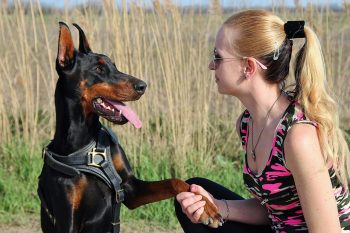 Are Dobermans Good with Kids?