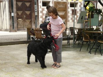 Are Labradoodles Good with Kids?