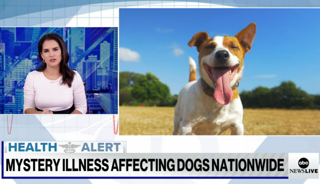 Breaking: Veterinarians Are Warning of Rising Cases of ‘Mystery’ Dog Illness