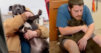 Guy With 13 Dogs Insists On Rescuing Another Pup That Spent Two Weeks In Lot