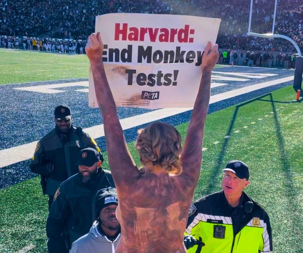 VIDEO: Find Out Why Nude ‘Monkeys’ Were Arrested at the Harvard-Yale Game