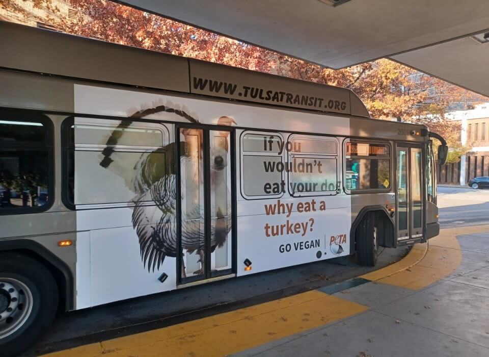 Victory! Tulsa Transit Reverses Ban on PETA’s ‘Controversial’ Pro-Vegan Ads