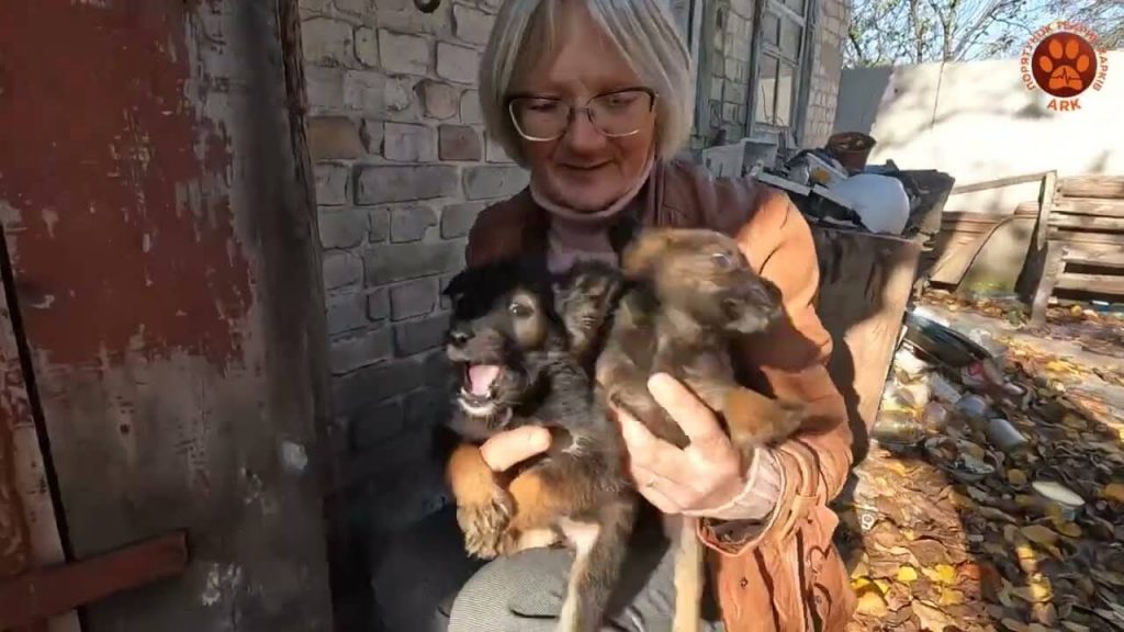 5 Minutes, Dozens of Lives Changed: The Latest Rescues in Ukraine