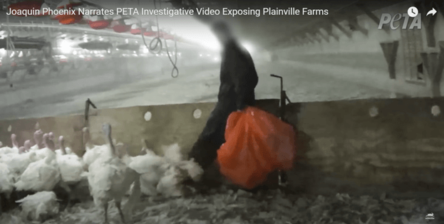 Joaquin Phoenix Pulls Back the Curtain on ‘Humane’ Turkey Supplier in New PETA Video