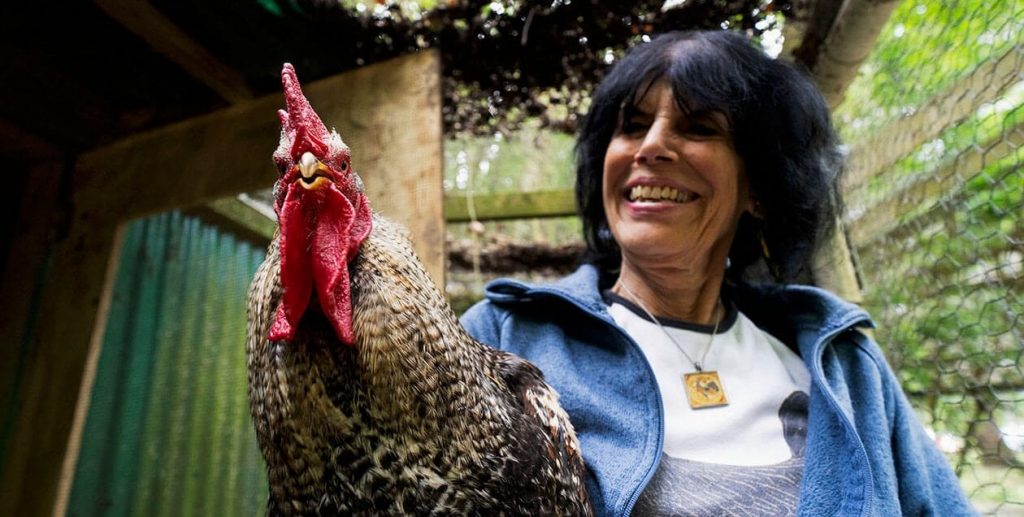 PETA to Hand Out Vegan Chicken to Honor Late University of Maryland Professor, Bird Advocate