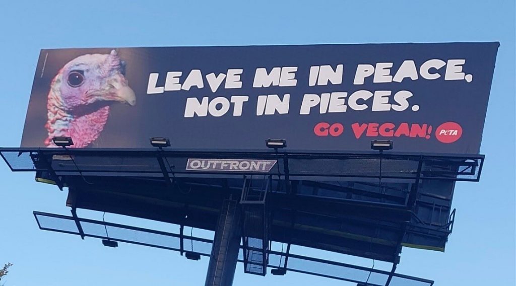 ‘Leave Me in Peace, Not in Pieces!’: PETA Message Lands in St. Louis With Turkey-Free Roast Giveaway