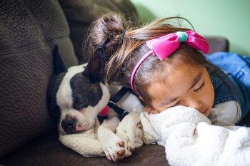 Are Boston Terriers Good with Kids?