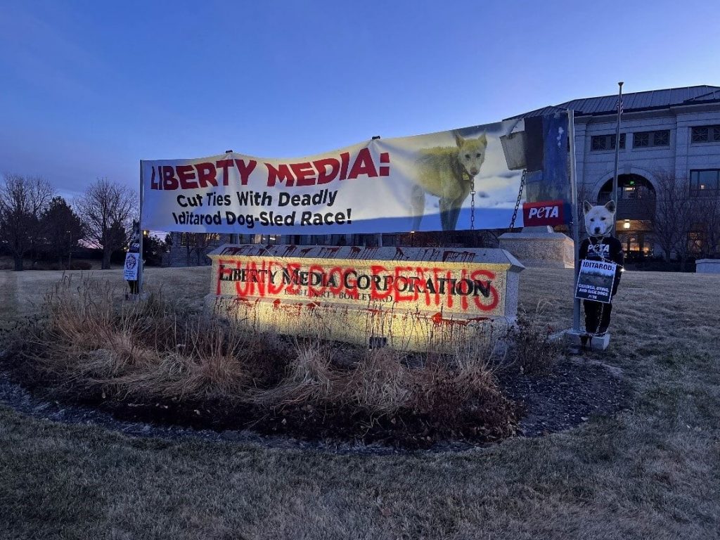 Breaking: PETA Protesters Chained Up at Liberty Media HQ to Blast Ties to Deadly Dog-Sled Race