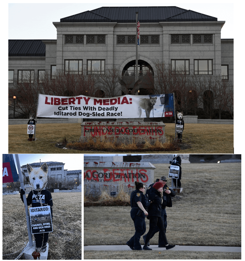 Update: PETA Members Arrested Chaining Themselves Up at Liberty Media HQ to Protest Sponsorship of Dog Death Race