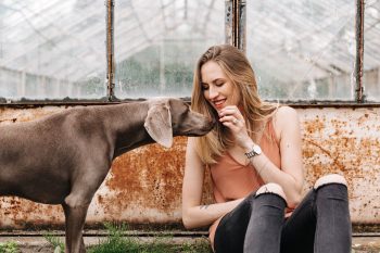 Ideal Diet for Weimaraners – The Ultimate Weimaraner Feeding Guide