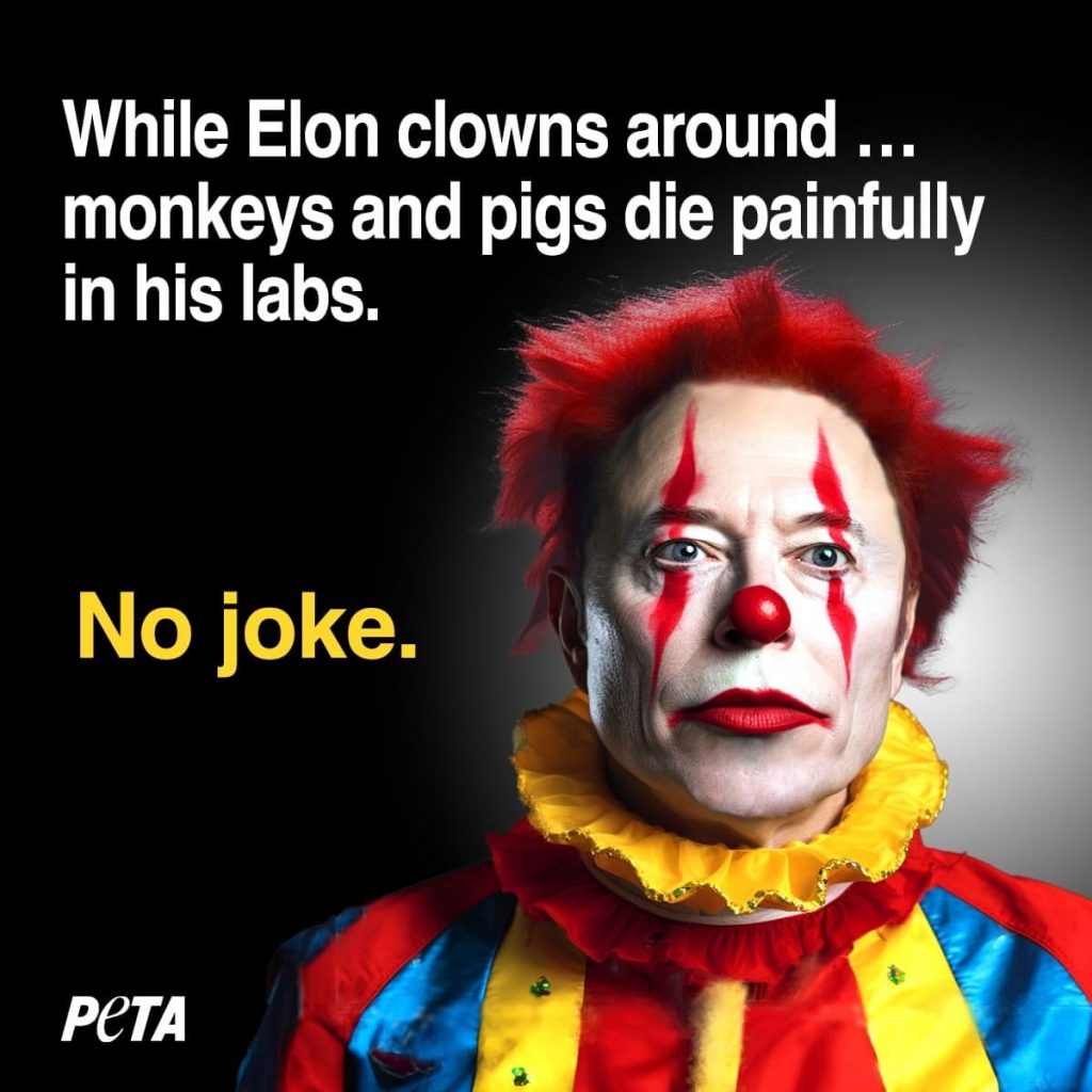 No Joke! X Runs PETA Ad With Clownish Elon