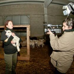 Christmas Eve Animal Rescue: The Story of a Newborn Lamb and Goat