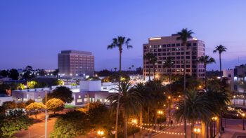 Traveling With Your Dog to Anaheim, California: Pet-Friendly Flights, Hotels, Activities and More
