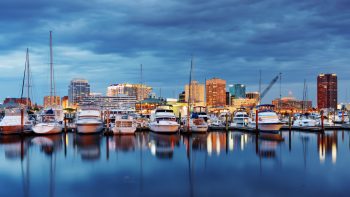 Traveling With Your Dog to Chesapeake, Virginia: Pet-Friendly Flights, Hotels, Activities and More