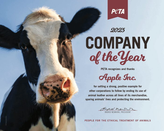 Apple Wins PETA’s ‘Company of the Year’ Award for Industry-Shifting Leadership on Leather Use