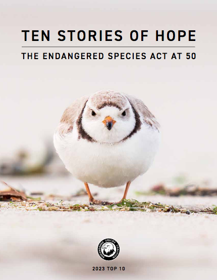 Share Stories of Hope for Wildlife